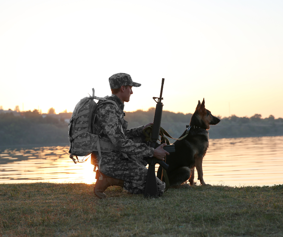 soldier with ar and dog
